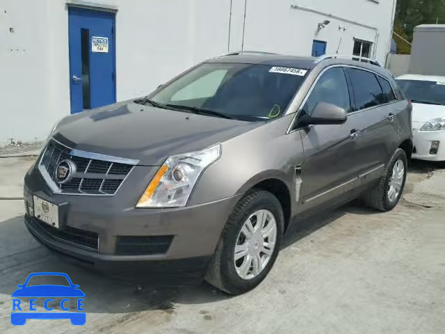 2011 CADILLAC SRX LUXURY 3GYFNAEY6BS556044 зображення 1