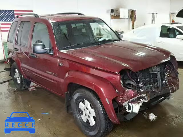 2003 JEEP LIBERTY LI 1J4GK58K53W651602 Bild 0