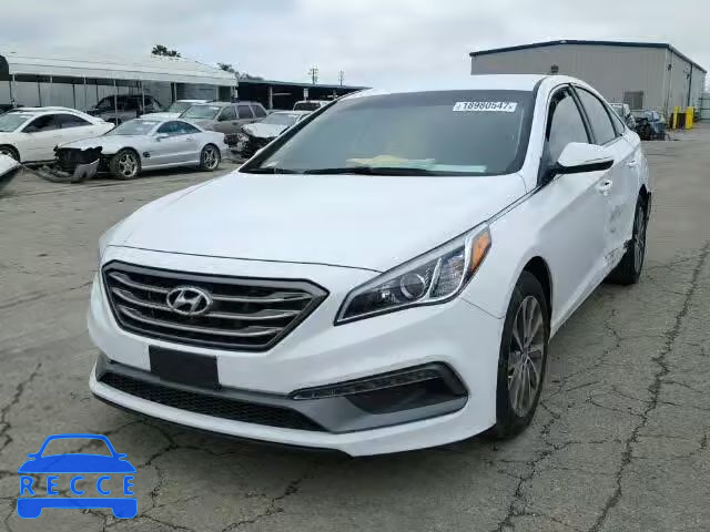 2016 HYUNDAI SONATA SPO 5NPE34AF6GH423539 image 1