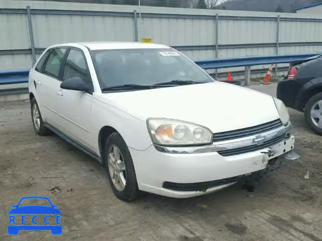 2005 CHEVROLET MALIBU MAX 1G1ZT62845F210831 зображення 0