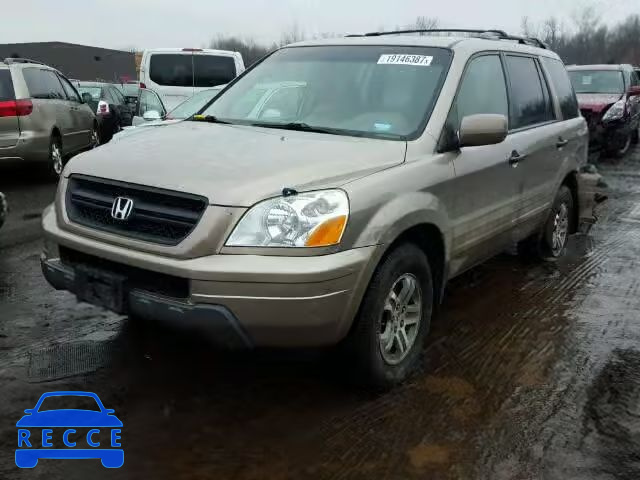 2004 HONDA PILOT EXL 2HKYF18754H579097 image 1