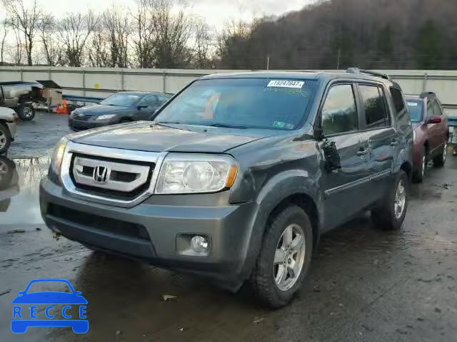 2009 HONDA PILOT EXL 5FNYF48689B006161 image 1