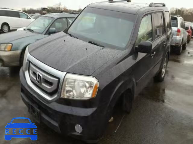 2009 HONDA PILOT EXL 5FNYF48549B017505 image 1