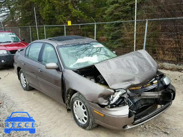 2002 CHEVROLET MALIBU LS 1G1NE52J22M554901 зображення 0