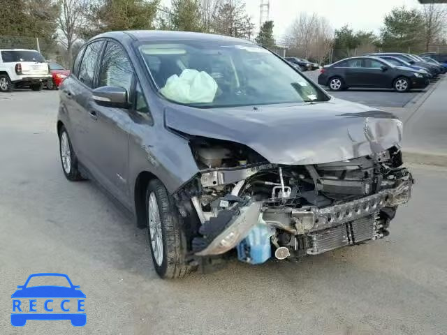 2014 FORD C-MAX SE 1FADP5AU8EL519899 image 0