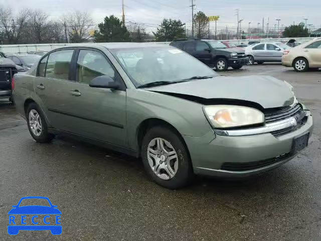 2005 CHEVROLET MALIBU 1G1ZS52F95F133806 image 0