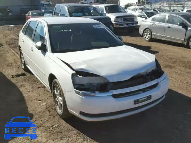 2004 CHEVROLET MALIBU MAX 1G1ZT64854F175390 image 0