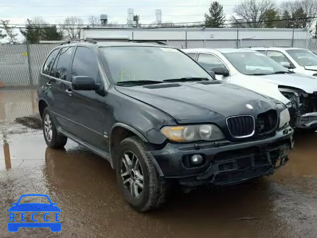 2006 BMW X5 3.0I 5UXFA13546LY25789 Bild 0