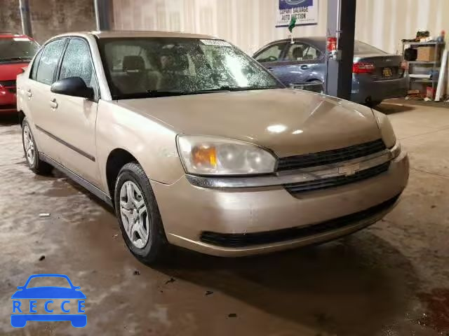 2004 CHEVROLET MALIBU 1G1ZS52F14F139680 image 0