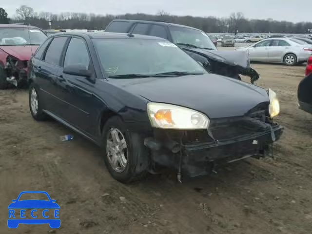 2005 CHEVROLET MALIBU MAX 1G1ZU64855F103085 image 0