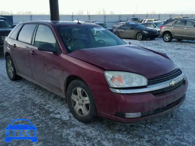 2005 CHEVROLET MALIBU MAX 1G1ZU64895F332952 зображення 0