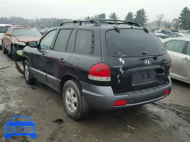 2005 HYUNDAI SANTA FE G KM8SC13D25U875709 зображення 2