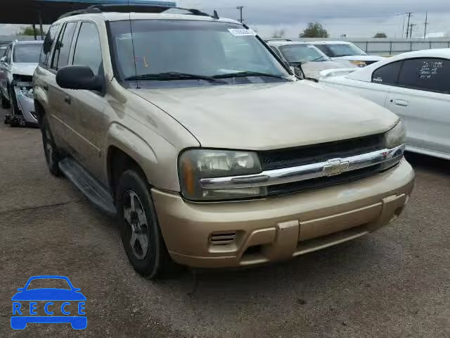 2006 CHEVROLET TRAILBLAZE 1GNDS13S462149899 image 0