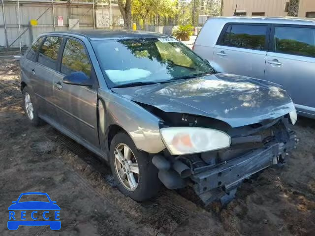 2004 CHEVROLET MALIBU MAX 1G1ZT62824F231918 зображення 0