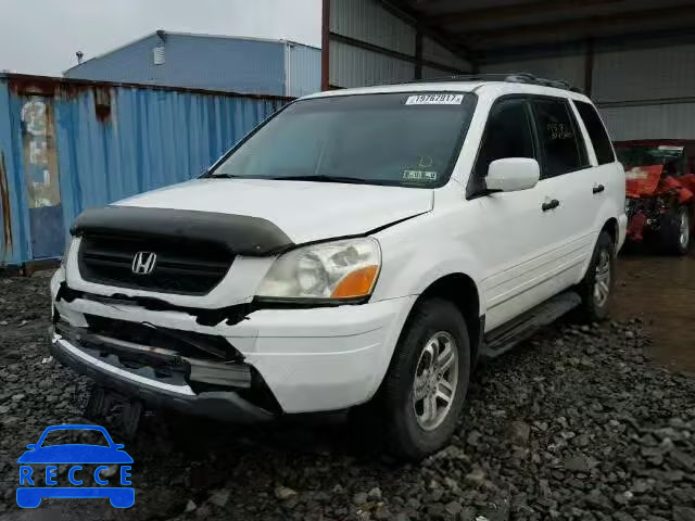 2003 HONDA PILOT EXL 2HKYF18593H593341 image 1