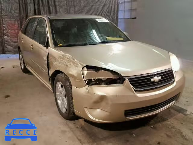 2006 CHEVROLET MALIBU MAX 1G1ZT618X6F196467 image 0