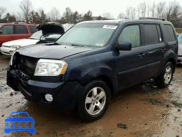 2011 HONDA PILOT EXLN 5FNYF4H75BB049614 image 1