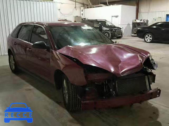 2004 CHEVROLET MALIBU MAX 1G1ZT64814F208305 image 0