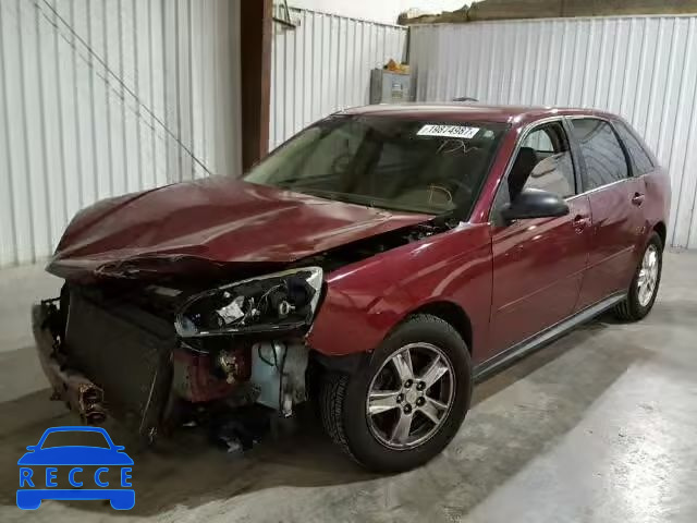 2004 CHEVROLET MALIBU MAX 1G1ZT64814F208305 image 1