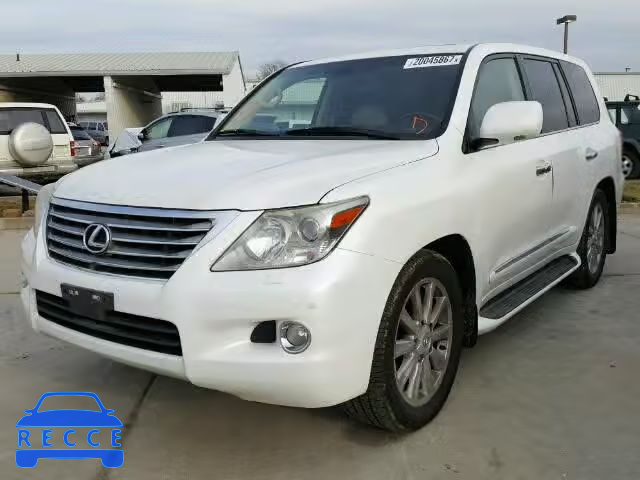 2009 LEXUS LX 570 JTJHY00W494028385 image 1