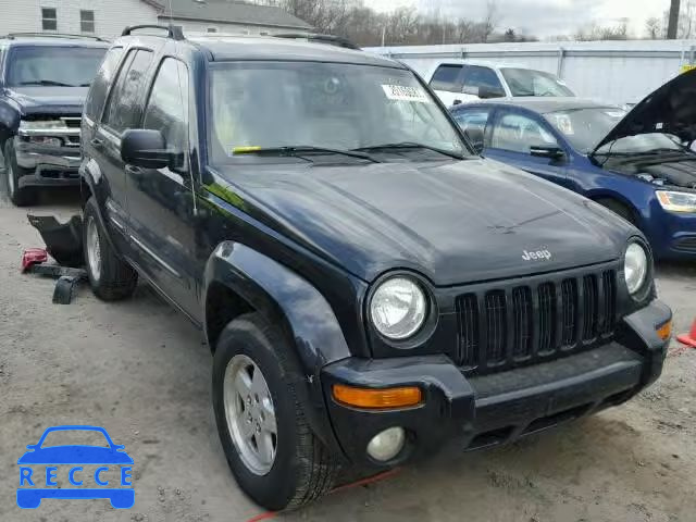 2003 JEEP LIBERTY LI 1J4GL58K63W501026 image 0