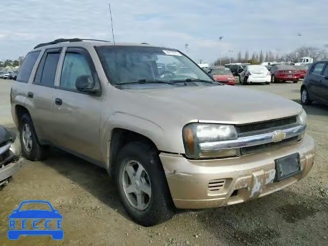 2006 CHEVROLET TRAILBLAZE 1GNDT13S762111547 image 0