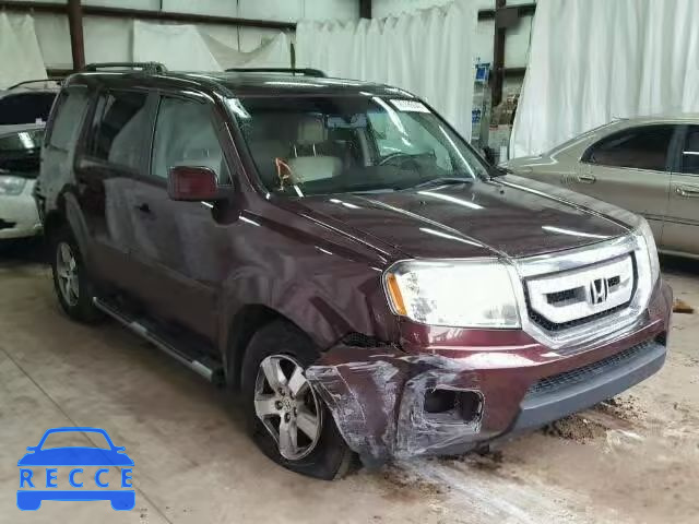 2010 HONDA PILOT EXL 5FNYF4H52AB023632 image 0