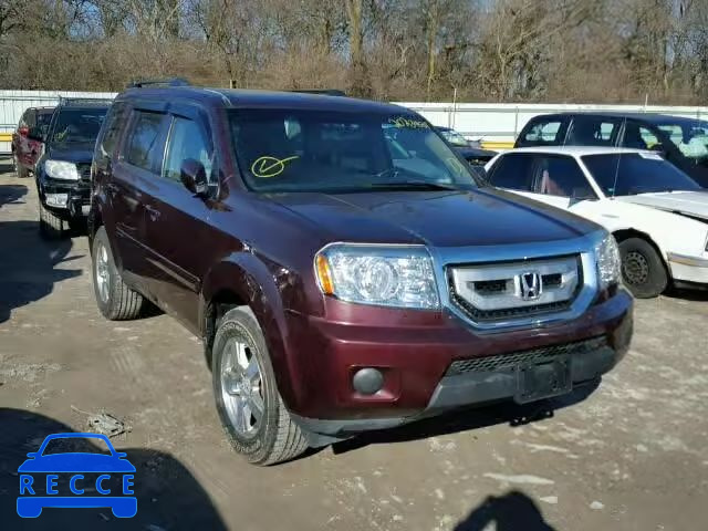 2009 HONDA PILOT EXL 5FNYF48559B029307 image 0