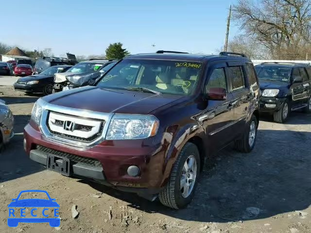 2009 HONDA PILOT EXL 5FNYF48559B029307 image 1