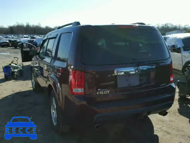 2009 HONDA PILOT EXL 5FNYF48559B029307 image 2