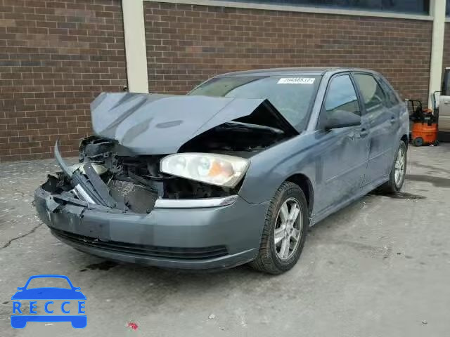 2004 CHEVROLET MALIBU MAX 1G1ZT64834F240303 image 1