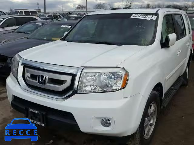 2009 HONDA PILOT EXL 5FNYF48529B044864 image 1