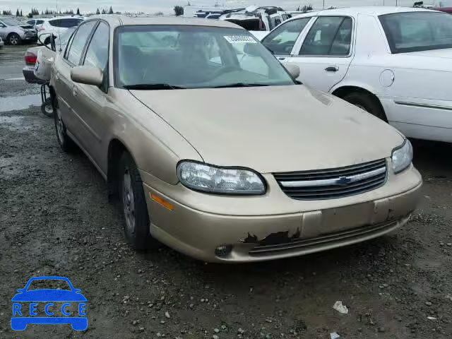 2002 CHEVROLET MALIBU LS 1G1NE52J42M666650 зображення 0