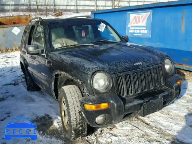 2003 JEEP LIBERTY LI 1J4GL58K13W598636 image 0