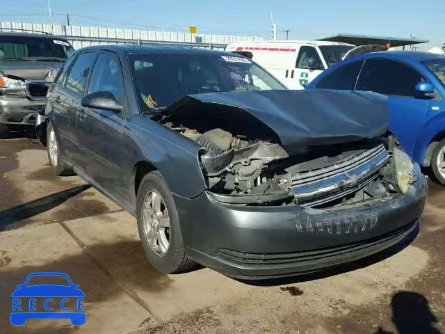 2005 CHEVROLET MALIBU MAX 1G1ZT64845F204332 Bild 0