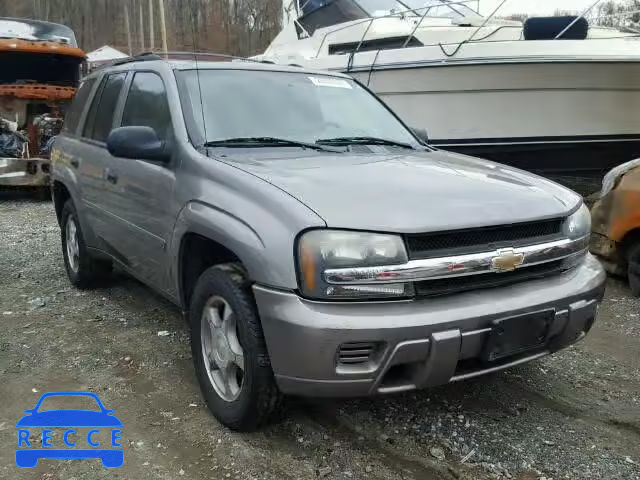 2008 CHEVROLET TRAILBLAZE 1GNDS13SX82228321 image 0