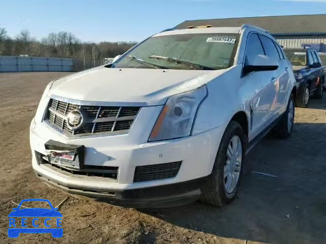 2012 CADILLAC SRX LUXURY 3GYFNAE30CS577512 зображення 1