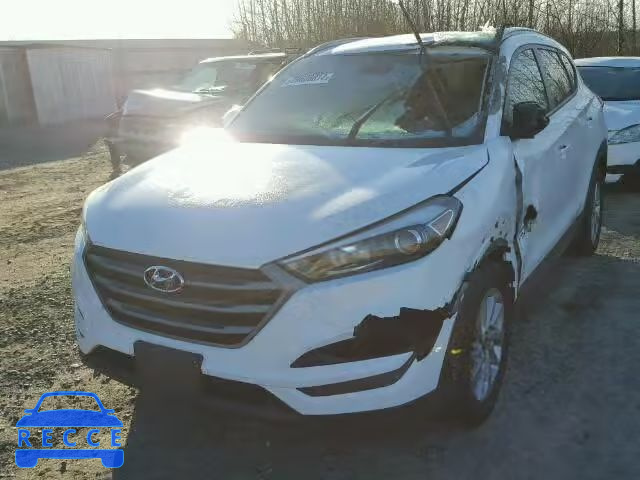 2016 HYUNDAI TUCSON LIM KM8J3CA40GU066951 image 1