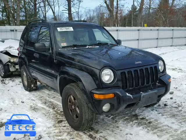 2002 JEEP LIBERTY LI 1J4GL58K42W152463 Bild 0