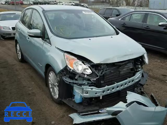 2013 FORD C-MAX SEL 1FADP5BUXDL520694 зображення 0