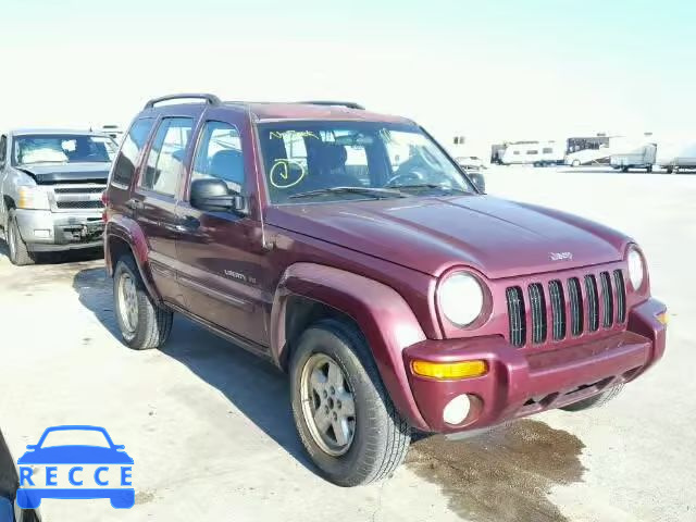 2002 JEEP LIBERTY LI 1J4GK58K02W165763 image 0