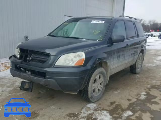 2005 HONDA PILOT EX 2HKYF18495H531559 image 1