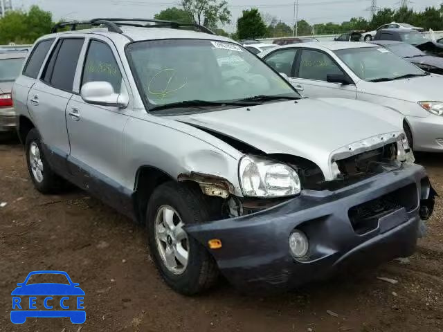 2005 HYUNDAI SANTA FE G KM8SC13E65U915931 зображення 0