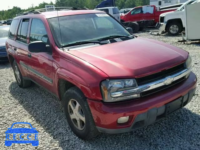 2002 CHEVROLET TRAILBLAZE 1GNDT13S522266818 image 0
