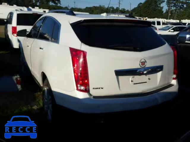 2010 CADILLAC SRX LUXURY 3GYFNAEY1AS609439 зображення 2