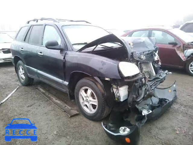 2004 HYUNDAI SANTA FE G KM8SC13E14U671569 image 0