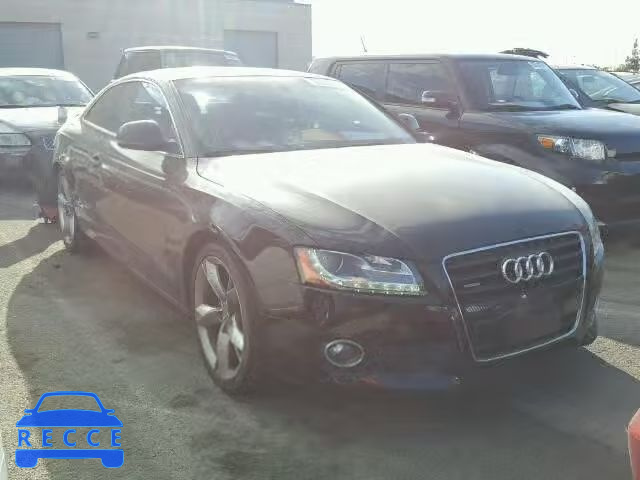 2009 AUDI A5 QUATTRO WAUDK78TX9A050959 Bild 0