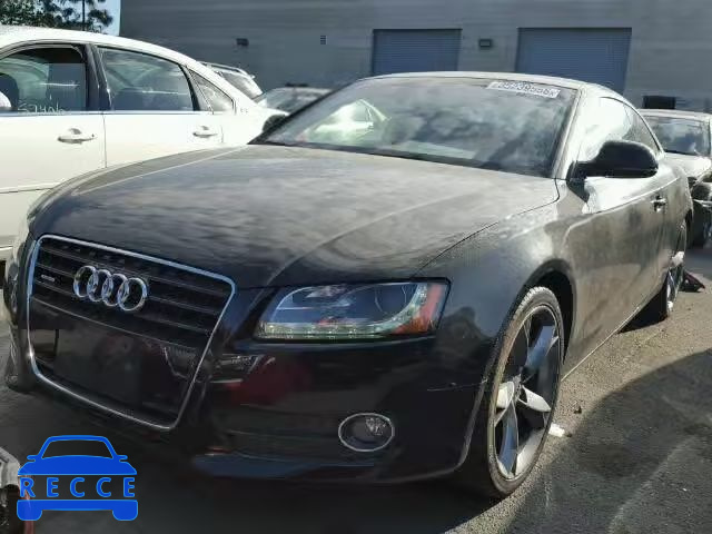 2009 AUDI A5 QUATTRO WAUDK78TX9A050959 Bild 1