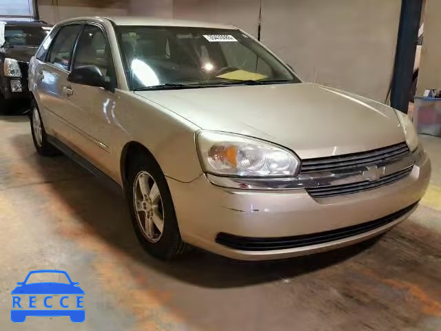 2004 CHEVROLET MALIBU MAX 1G1ZT64834F245744 image 0