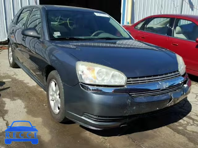 2004 CHEVROLET MALIBU MAX 1G1ZT64844F224854 image 0